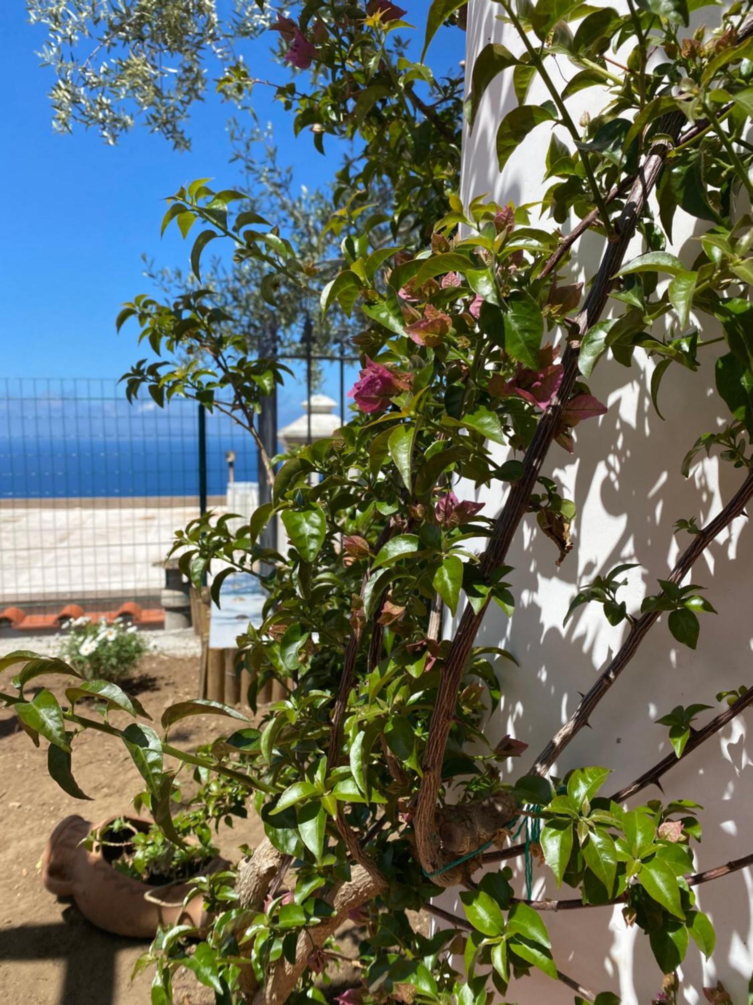 B&B La Ciammurrella Anacapri  Exterior photo
